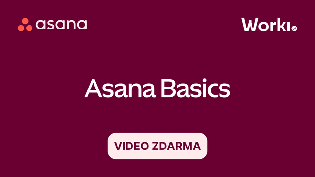 Asana — Základní představení